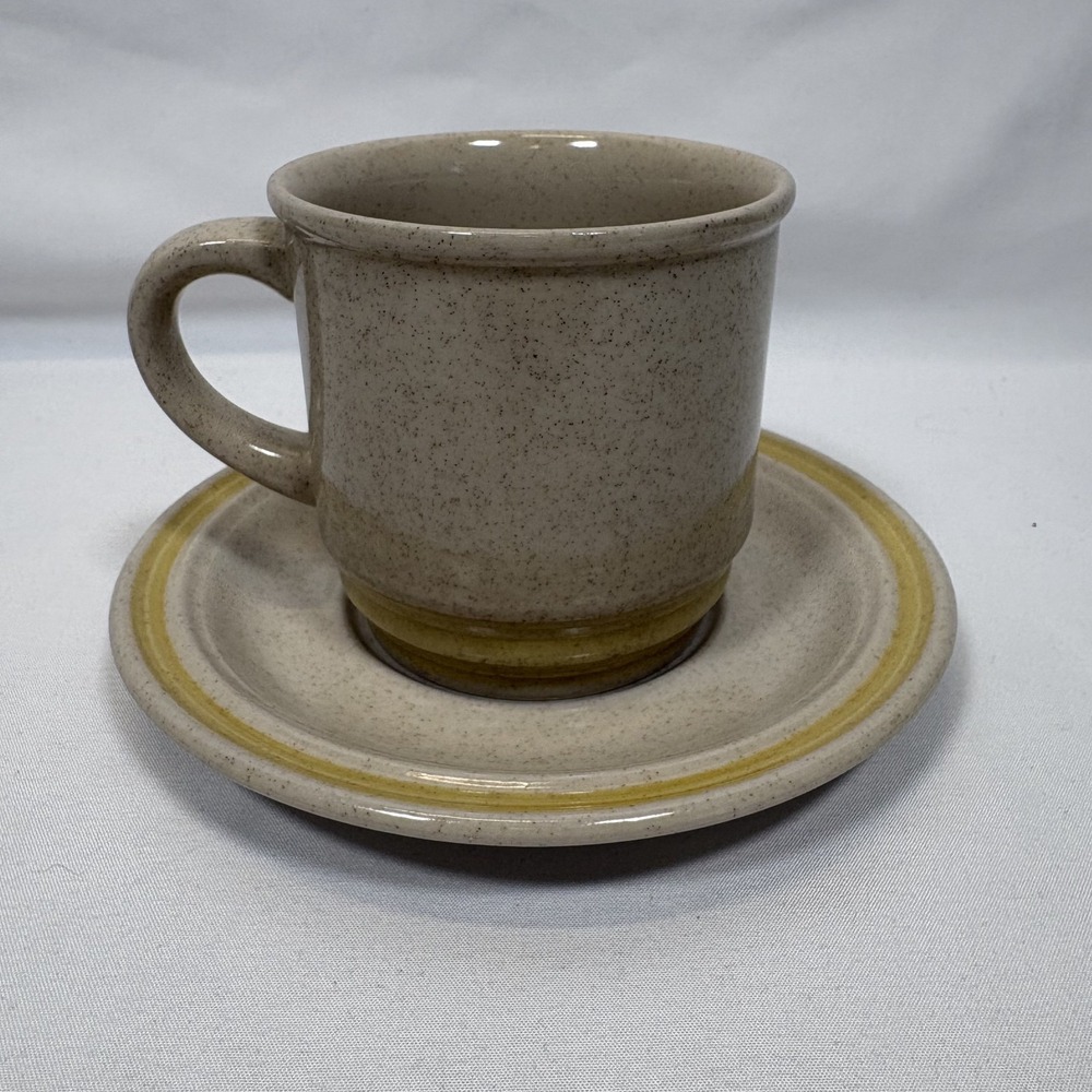 Vintage Montgomery Ward Japan Stoneware Speckled MCM Cup Saucer Plate Mug Coffee